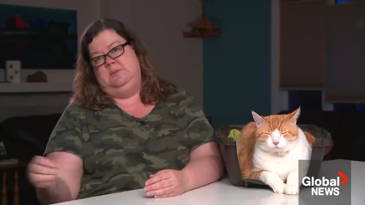 Fat Cat